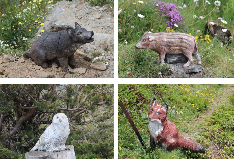 Animali lungo il percorso verso il rifugio Mont Fallère