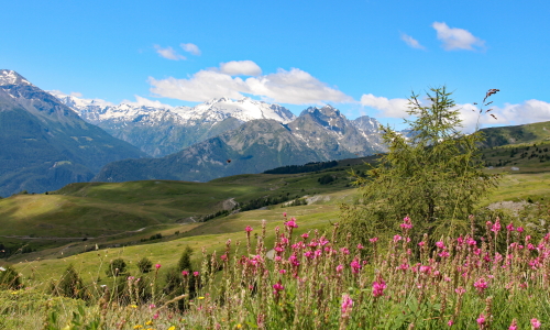 verso il rifugio Fallere