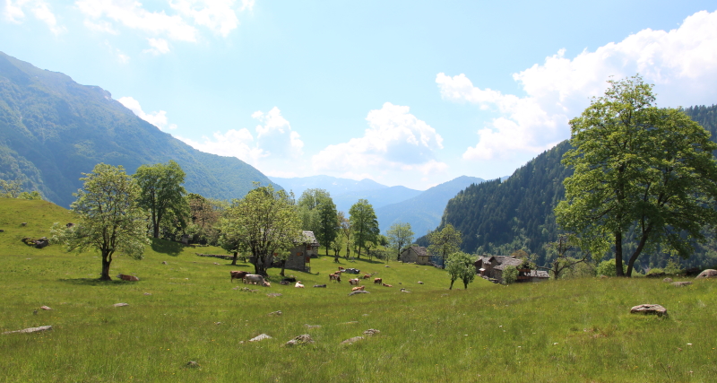 montagne valsesiane