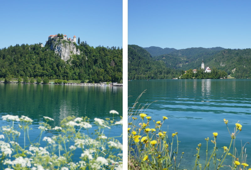 Lago di Bled panorama