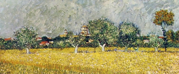 Nei campi attorno ad Arles
