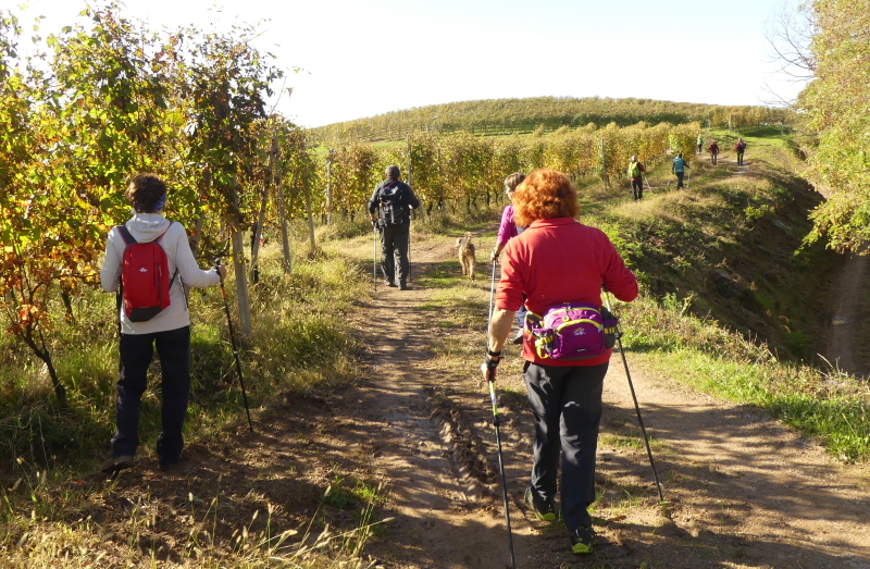 cambiopasso nordic walking biella