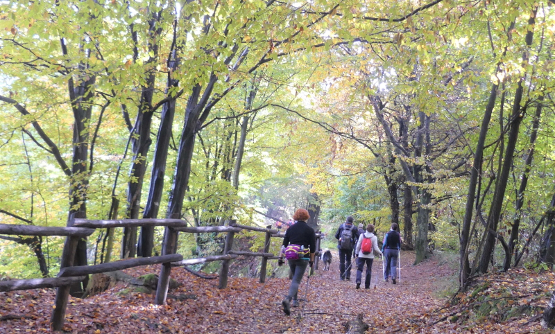 cambiopasso nordic walking biella