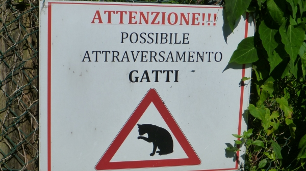 insolito cartello a monte isola