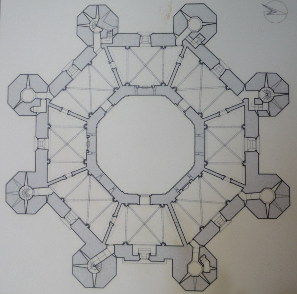 casteldelmonte_pianta
