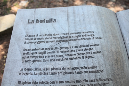 libro di legno