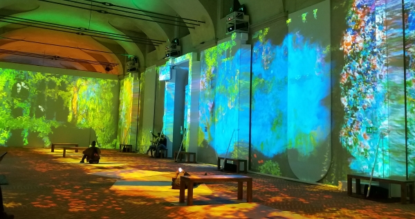 monet a stupinigi
