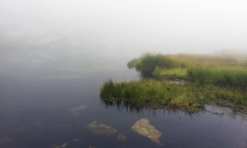 nebbia fate mucrone