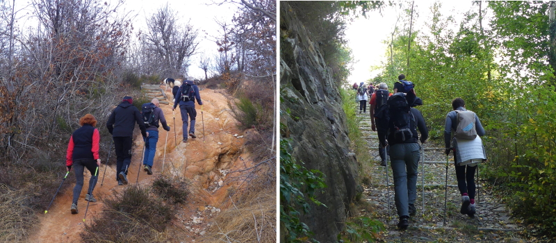 nordic walking cambiopasso