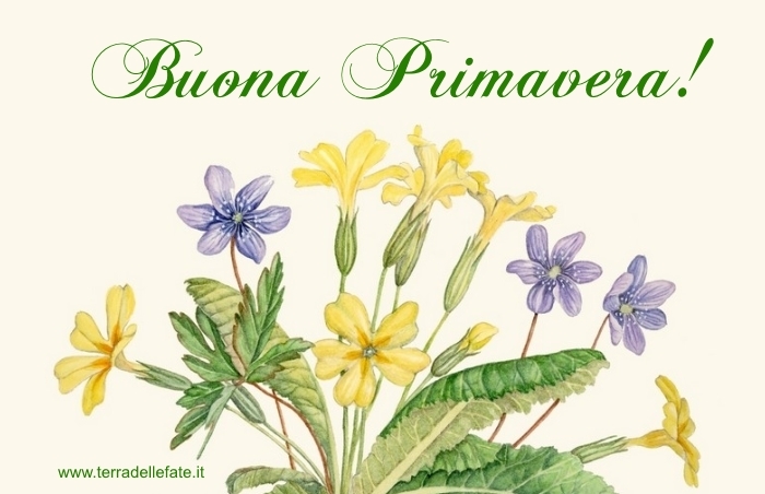 cartolina primavera